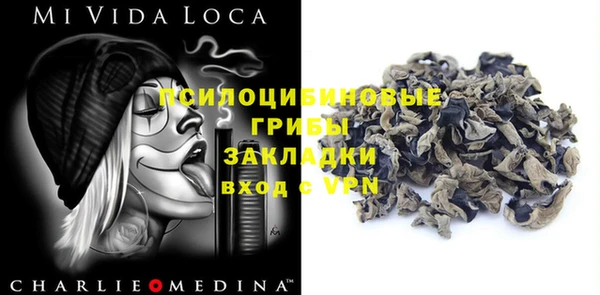 ПСИЛОЦИБИНОВЫЕ ГРИБЫ Балахна