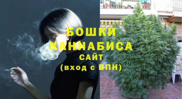 ПСИЛОЦИБИНОВЫЕ ГРИБЫ Балахна