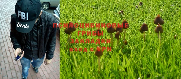 ПСИЛОЦИБИНОВЫЕ ГРИБЫ Балахна